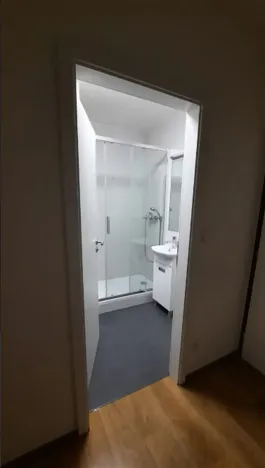 Prodej bytu 1+kk, Praha - Hodkovičky, Pod lysinami, 30 m2