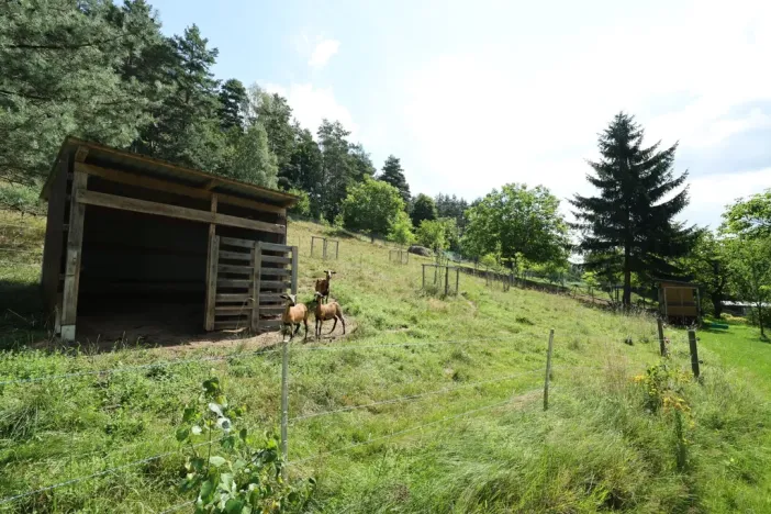 Prodej rodinného domu, Všelibice - Lísky, 175 m2