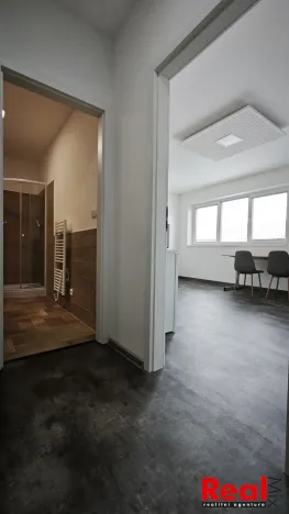 Pronájem bytu 1+kk, Brno, Skorkovského, 30 m2