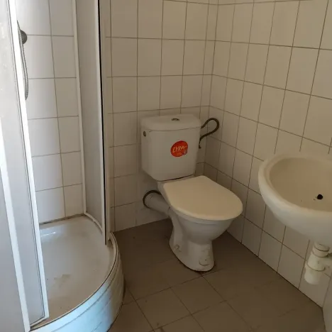 Pronájem vícegeneračního domu, Miroslav, Česká, 250 m2