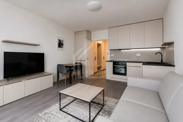 Pronájem bytu 1+kk, Praha, Pernerova, 32 m2
