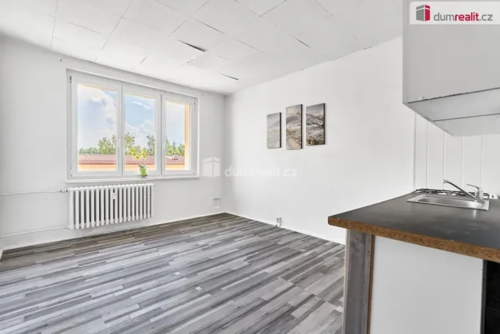Prodej bytu 1+1, Horní Slavkov, Dlouhá, 38 m2