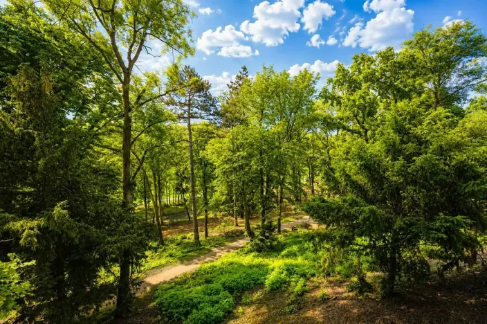 Pronájem bytu 2+kk, Praha - Hrdlořezy, Mezitraťová, 48 m2