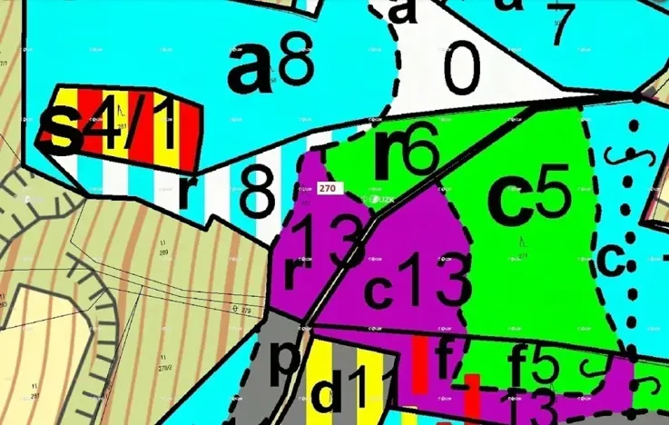 Dražba lesa, Zálezly, 4502 m2