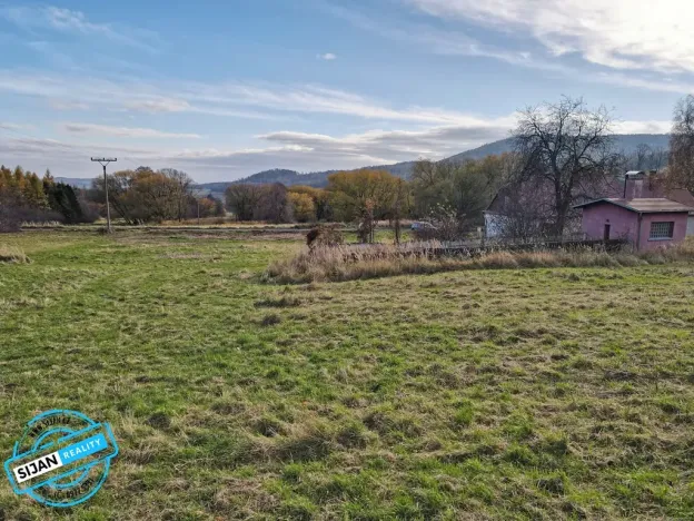 Prodej pozemku pro bydlení, Město Albrechtice, 3681 m2