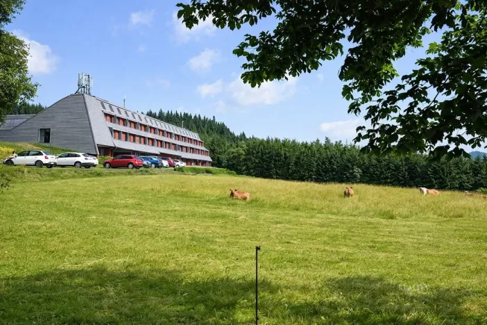 Prodej činžovního domu, Ostružná - Ramzová, 73 m2