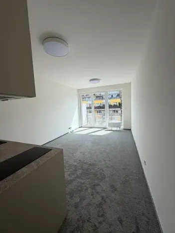 Pronájem bytu 1+kk, Praha - Vysočany, Gerstelova, 43 m2