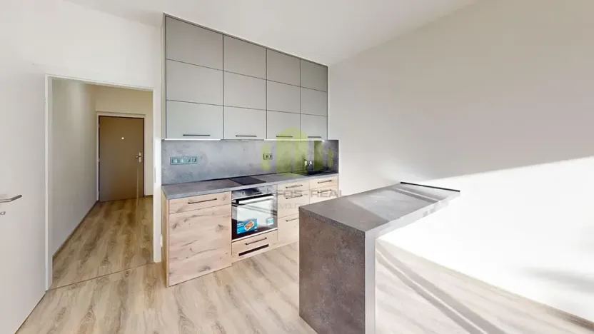 Pronájem bytu 1+kk, Olomouc, Frištenského, 32 m2