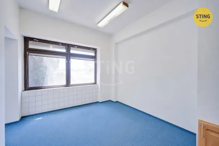 Prodej rodinného domu, Strážnice, Skalická, 360 m2