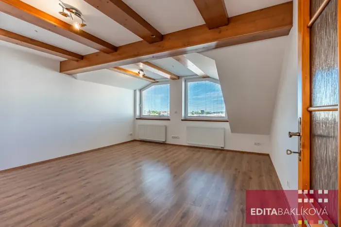 Prodej bytu 3+kk, Olomouc, Hodolanská, 112 m2