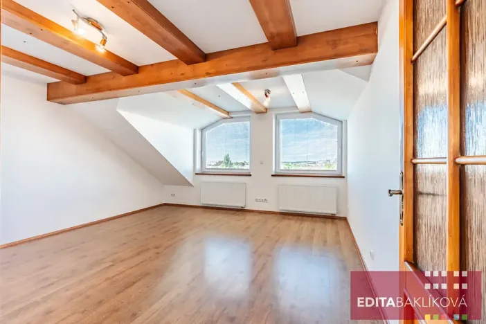 Prodej bytu 3+kk, Olomouc, Hodolanská, 112 m2