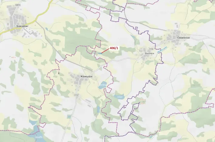 Dražba louky, Velký Bor, 1762 m2