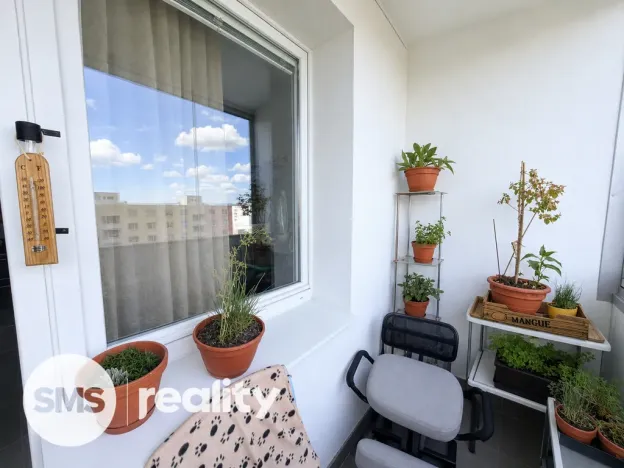 Prodej bytu 1+1, Brno - Bystrc, Kuršova, 45 m2