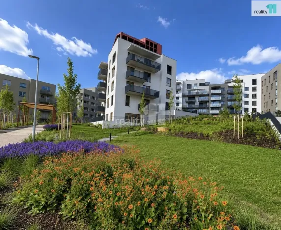 Prodej bytu 2+kk, Praha, Kolmanova, 51 m2