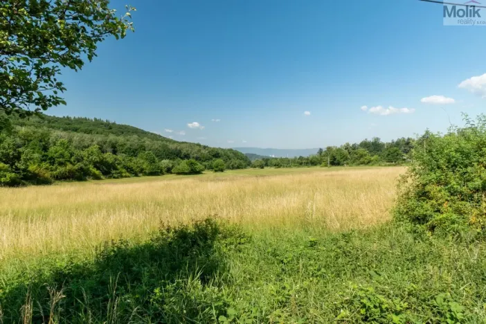 Prodej komerčního pozemku, Braňany - Kaňkov, 23391 m2