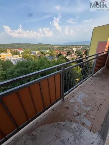 Prodej bytu 2+1, Bílina - Pražské Předměstí, Aléská, 48 m2