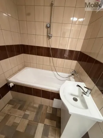 Prodej bytu 2+1, Bílina - Pražské Předměstí, Aléská, 48 m2