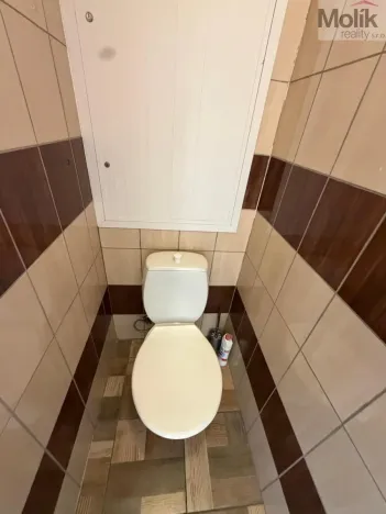 Prodej bytu 2+1, Bílina - Pražské Předměstí, Aléská, 48 m2