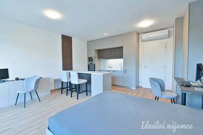Pronájem bytu 1+kk, Brno, Hybešova, 39 m2