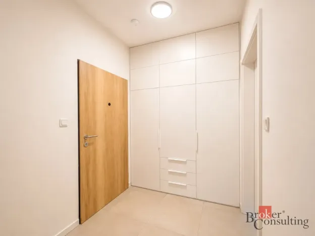 Pronájem bytu 1+kk, Plzeň - Jižní Předměstí, Železná, 35 m2