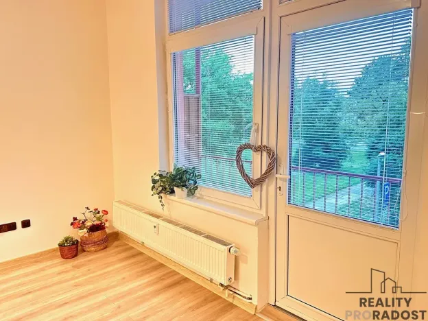 Pronájem bytu 1+kk, Olomouc - Hodolany, Březinova, 45 m2