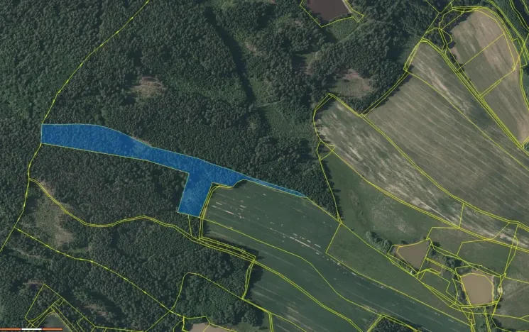 Prodej lesa, Lodhéřov - Studnice, 30002 m2