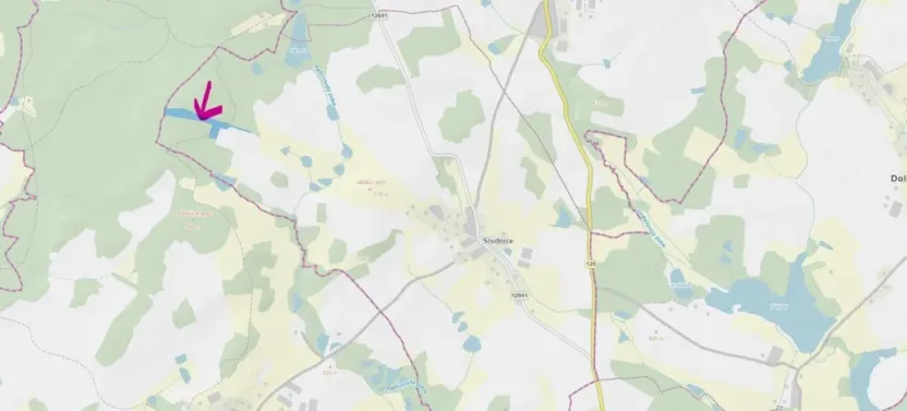 Prodej lesa, Lodhéřov - Studnice, 30002 m2