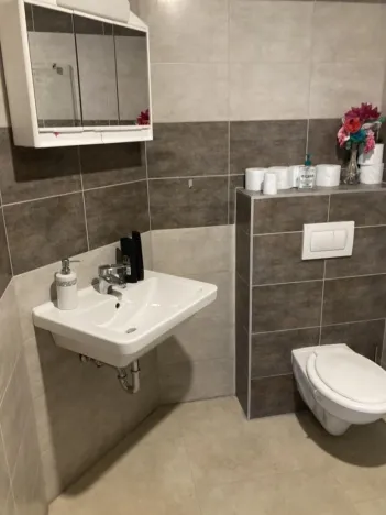 Pronájem bytu 1+kk, Králův Dvůr, Tyršova, 54 m2