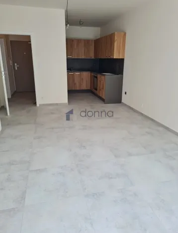 Pronájem bytu 2+kk, Praha, Gerstelova, 52 m2