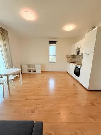 Pronájem bytu 1+kk, Praha - Chodov, Klapálkova, 33 m2