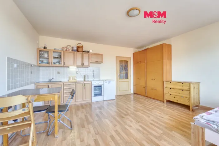 Pronájem bytu 1+kk, Plzeň - Východní Předměstí, Plzenecká, 33 m2