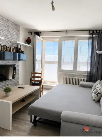 Prodej bytu 1+kk, Ostrava - Výškovice, Výškovická, 33 m2