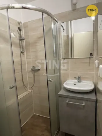Pronájem bytu 1+kk, Ostrava, Krakovská, 20 m2