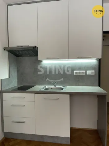 Pronájem bytu 1+kk, Ostrava, Krakovská, 20 m2