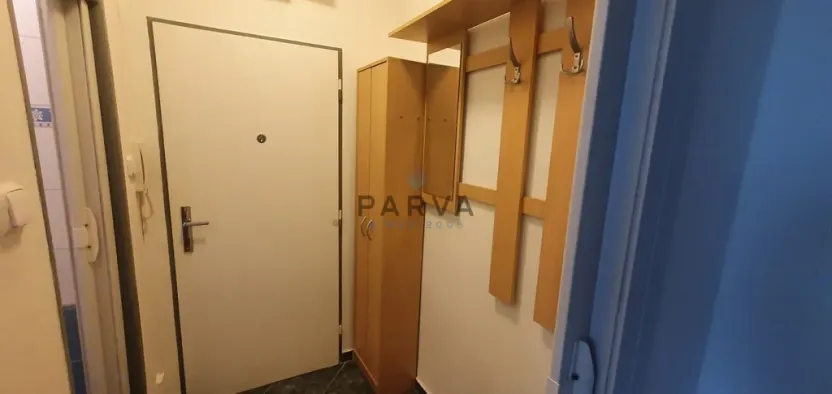Pronájem bytu 1+kk, Plzeň - Východní Předměstí, Brojova, 20 m2