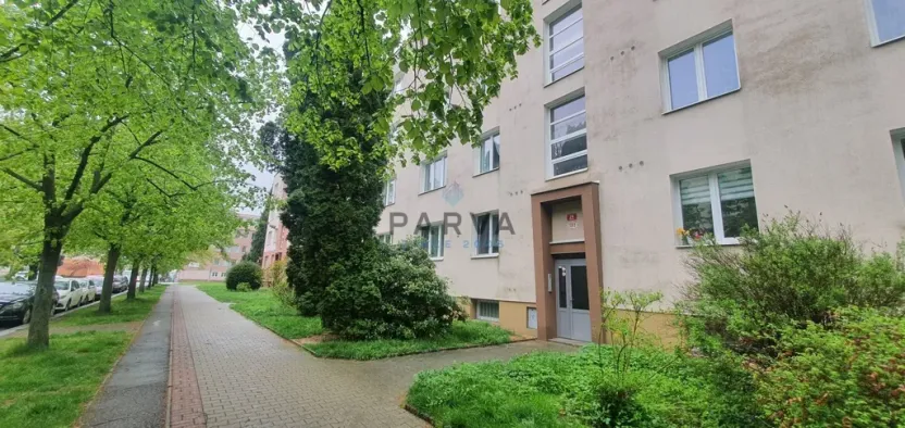 Pronájem bytu 1+kk, Plzeň - Východní Předměstí, Brojova, 20 m2