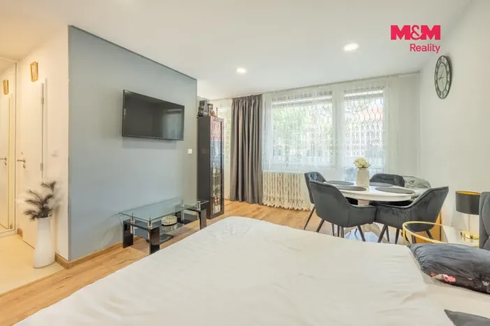 Prodej bytu 1+kk, Slaný, Všehlušická, 26 m2