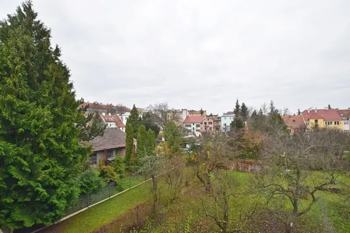 Pronájem bytu 2+1, Brno, Svatopluka Čecha, 74 m2