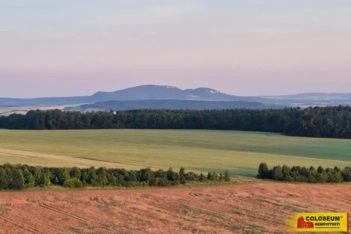 Prodej pozemku, Blučina, 2006 m2