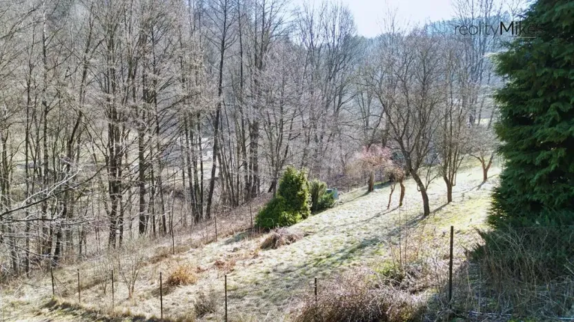 Prodej louky, Železný Brod, 4168 m2