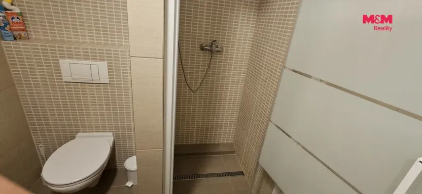 Pronájem bytu 1+kk, Plzeň - Východní Předměstí, Sladkovského, 36 m2