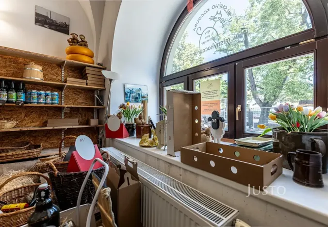 Pronájem obchodního prostoru, Uherské Hradiště, Masarykovo náměstí, 41 m2