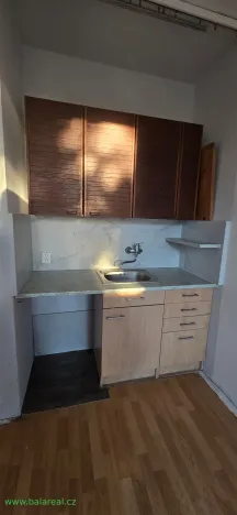Pronájem bytu 1+kk, Brno, Halasovo náměstí, 24 m2