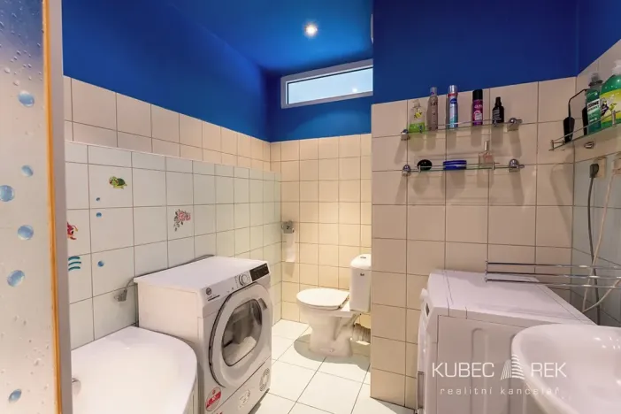 Prodej bytu 2+1, Sezimovo Ústí, Krátká, 46 m2