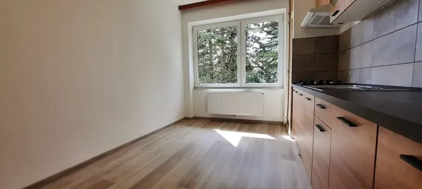 Pronájem bytu 4+1, Brno, Bohuslava Martinů, 95 m2