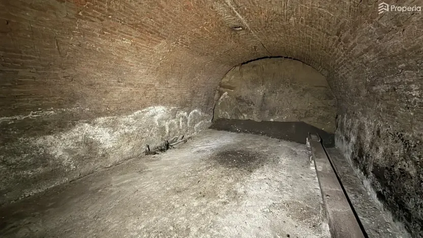 Prodej vinného sklepa, Dolní Věstonice, 54 m2