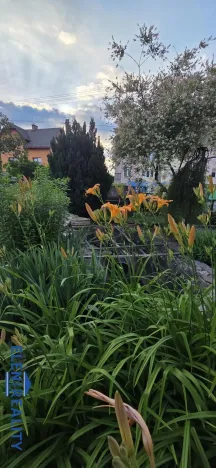 Prodej rodinného domu, Žulová, Komenského, 225 m2