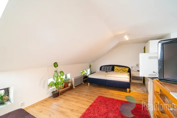 Prodej atypického bytu, Trhové Sviny, Nové město, 210 m2