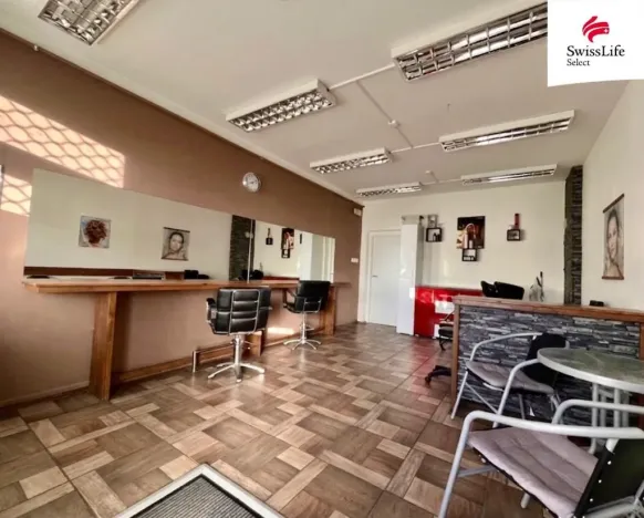 Prodej vícegeneračního domu, Teplice, Štúrova, 304 m2