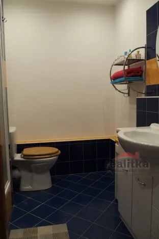Pronájem bytu 1+1, Opava - Kateřinky, Holasická, 37 m2